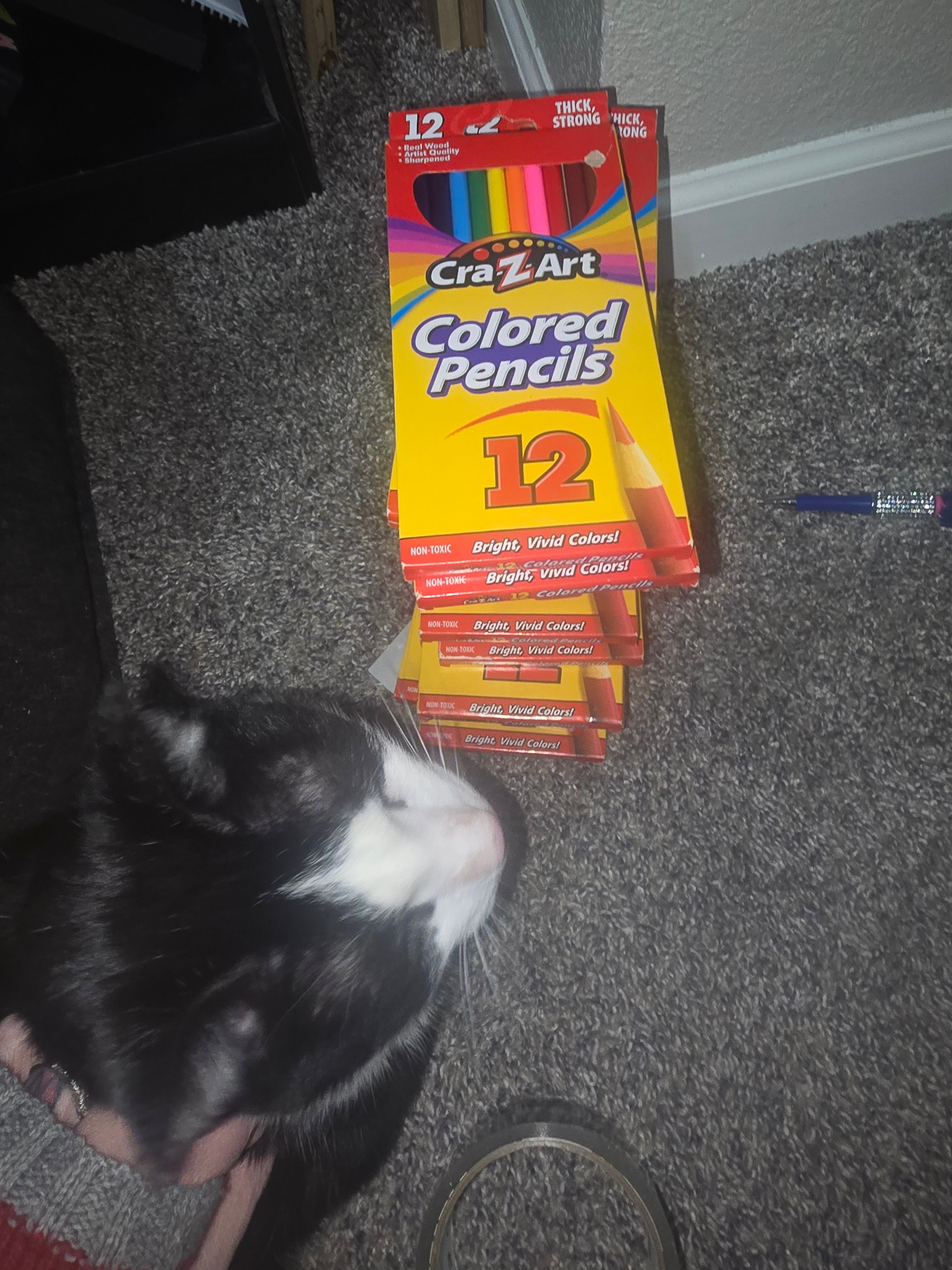 19 Boxes Colored Pencils